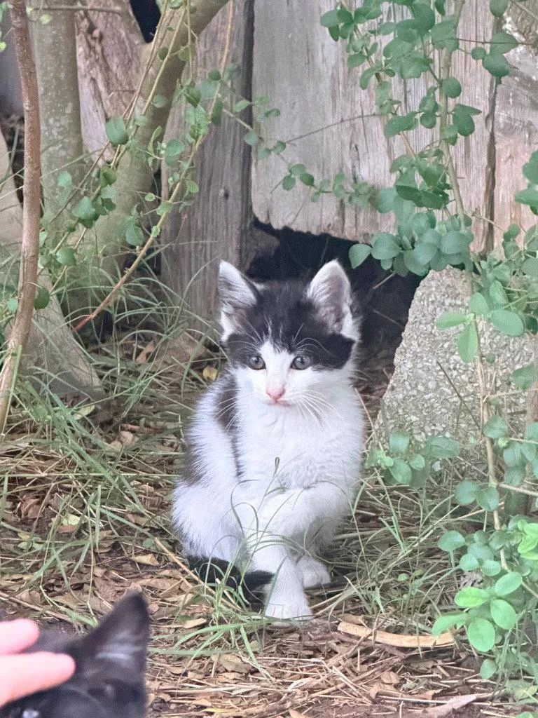 Jack