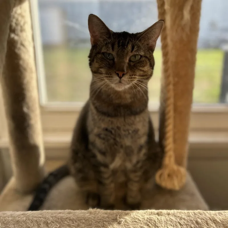 Turtle Fka Charlotte thumbnail 2