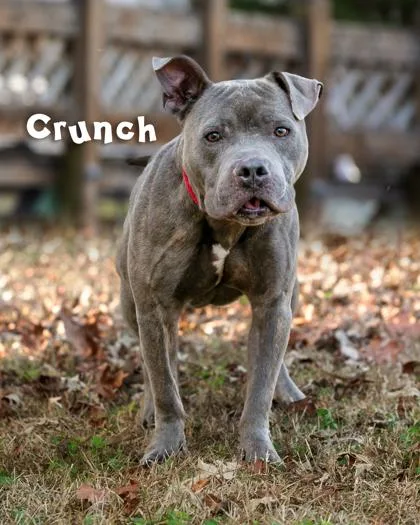 Crunch