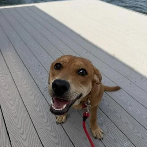 Millie Lynn thumbnail 4