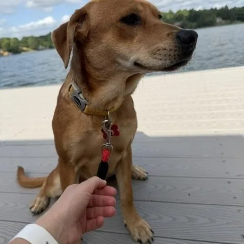Millie Lynn thumbnail 5
