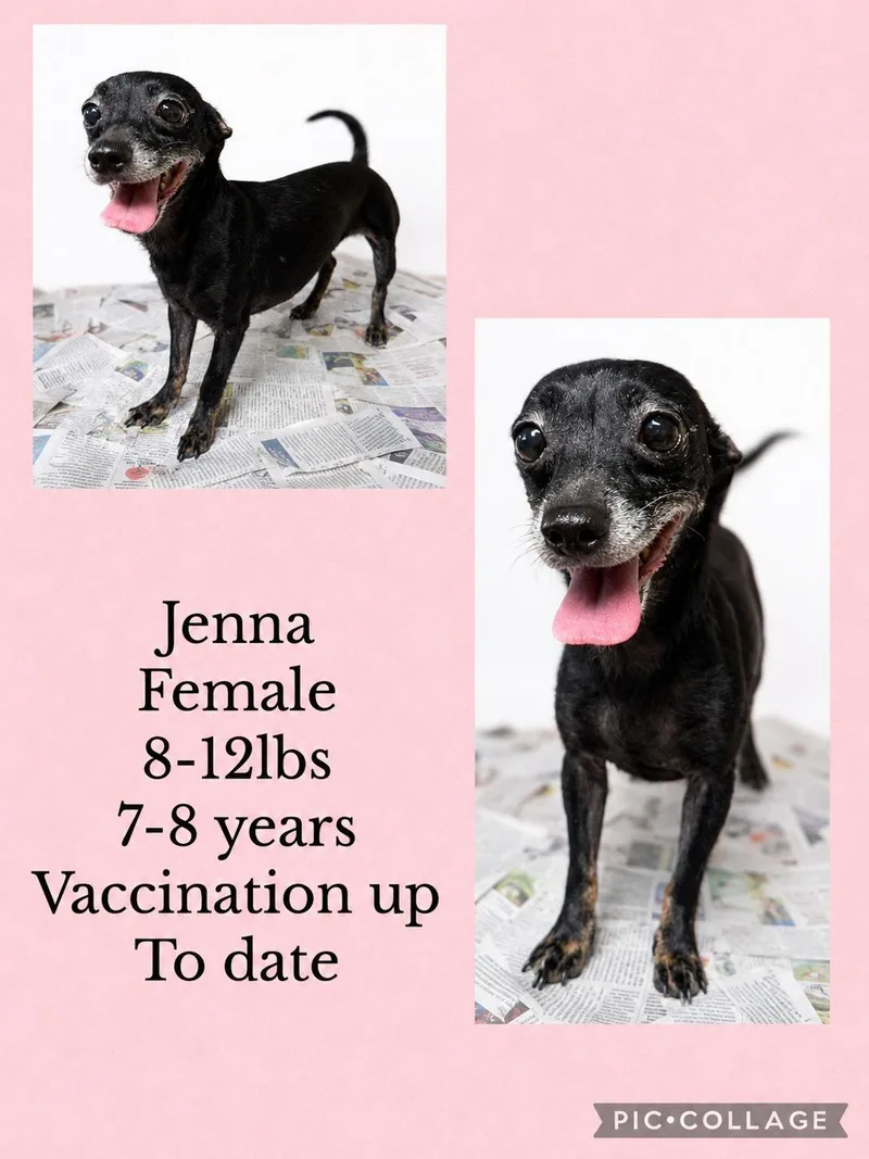 Jenna