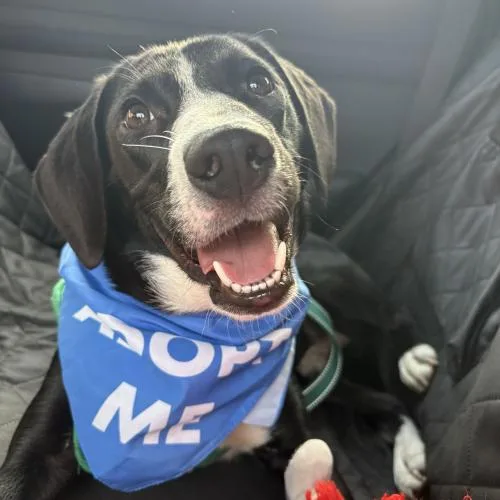 Capt'n Crunch thumbnail 4