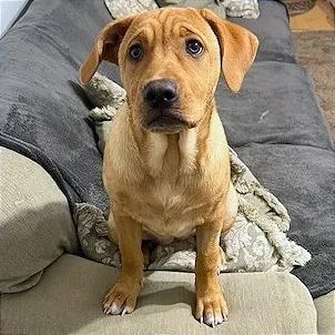 Weasel Aka Sister thumbnail 2