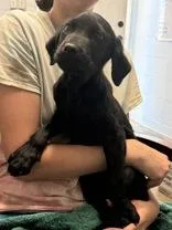 Winnie