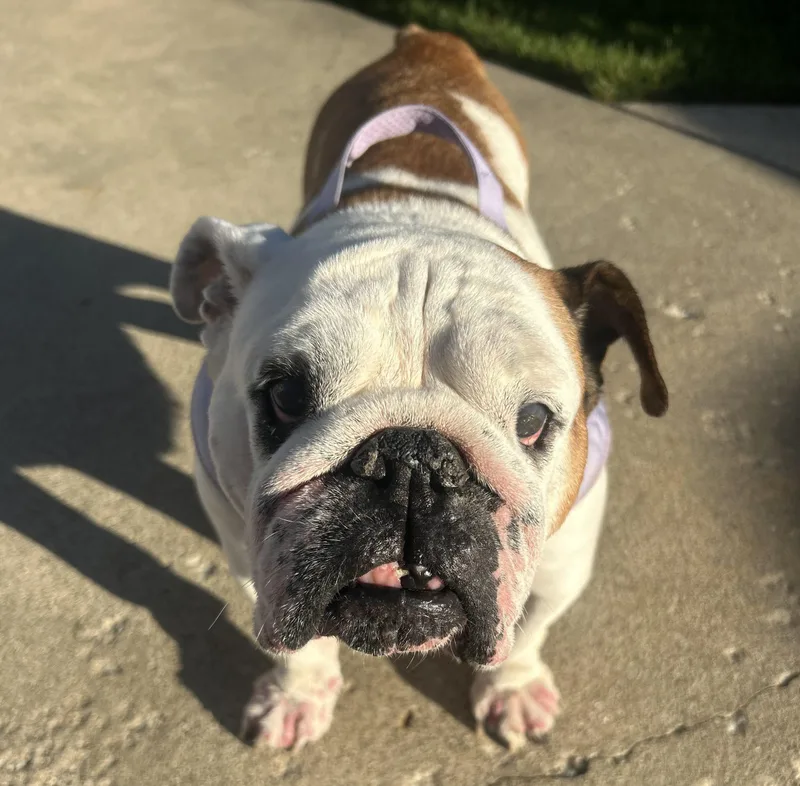 Maggie thumbnail 5