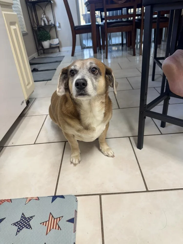 Fiona