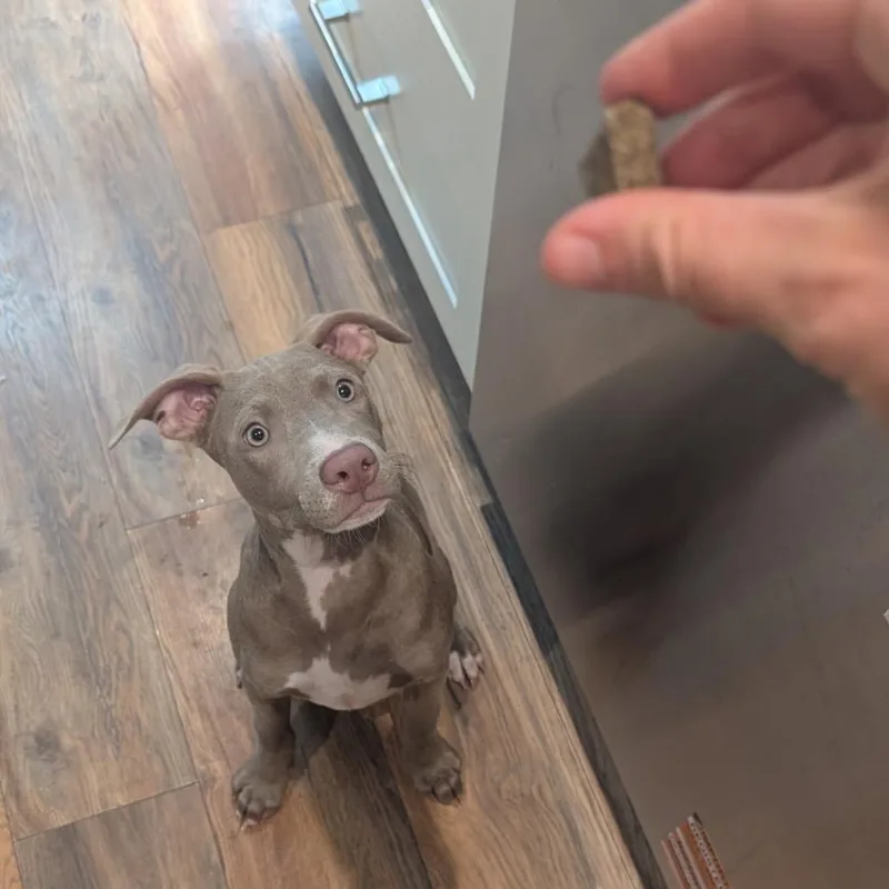 Reese thumbnail 2