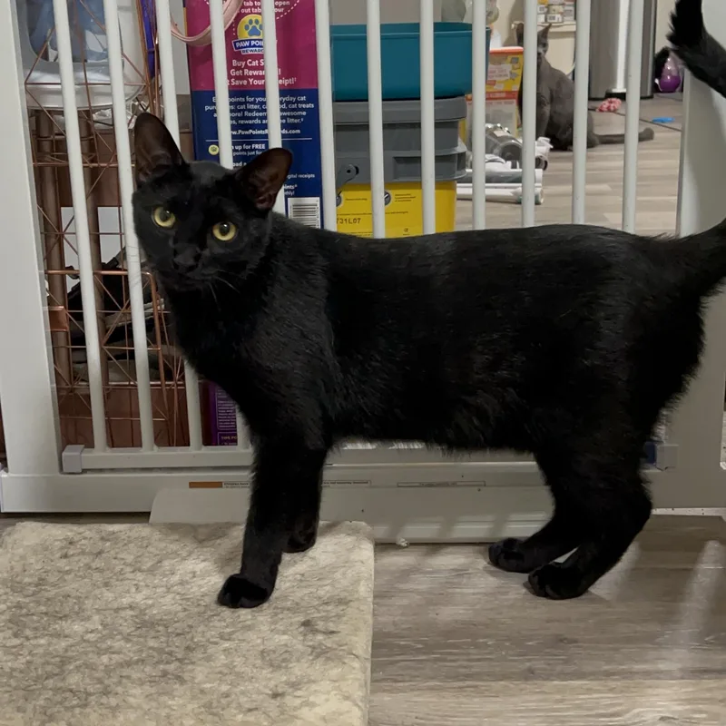 Colin & Glenn thumbnail 2