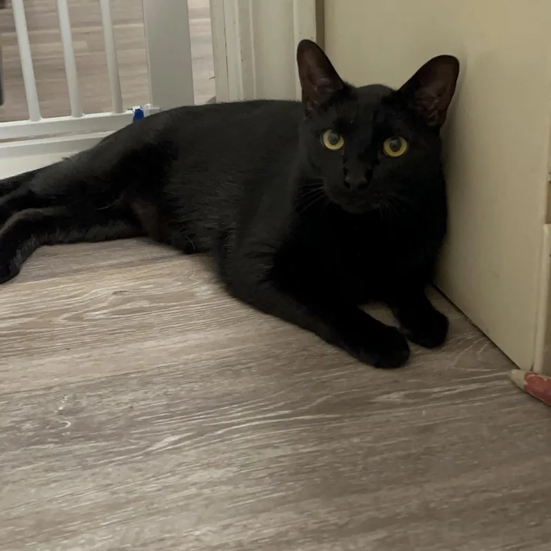 Colin & Glenn thumbnail 3