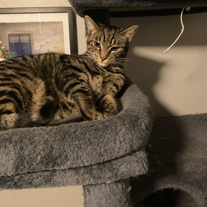 Colin & Glenn thumbnail 5