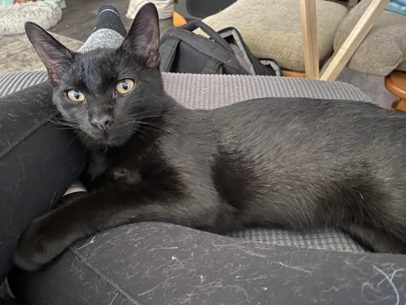 Colin & Glenn thumbnail 6