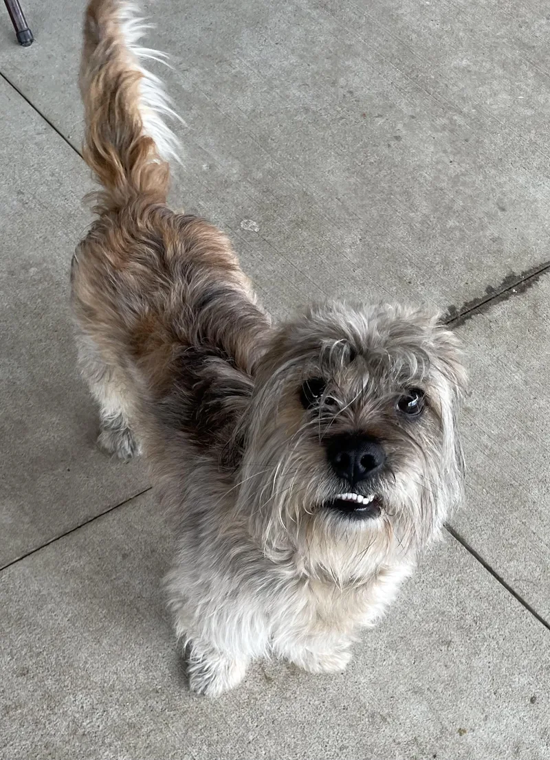 Cole Hold thumbnail 2