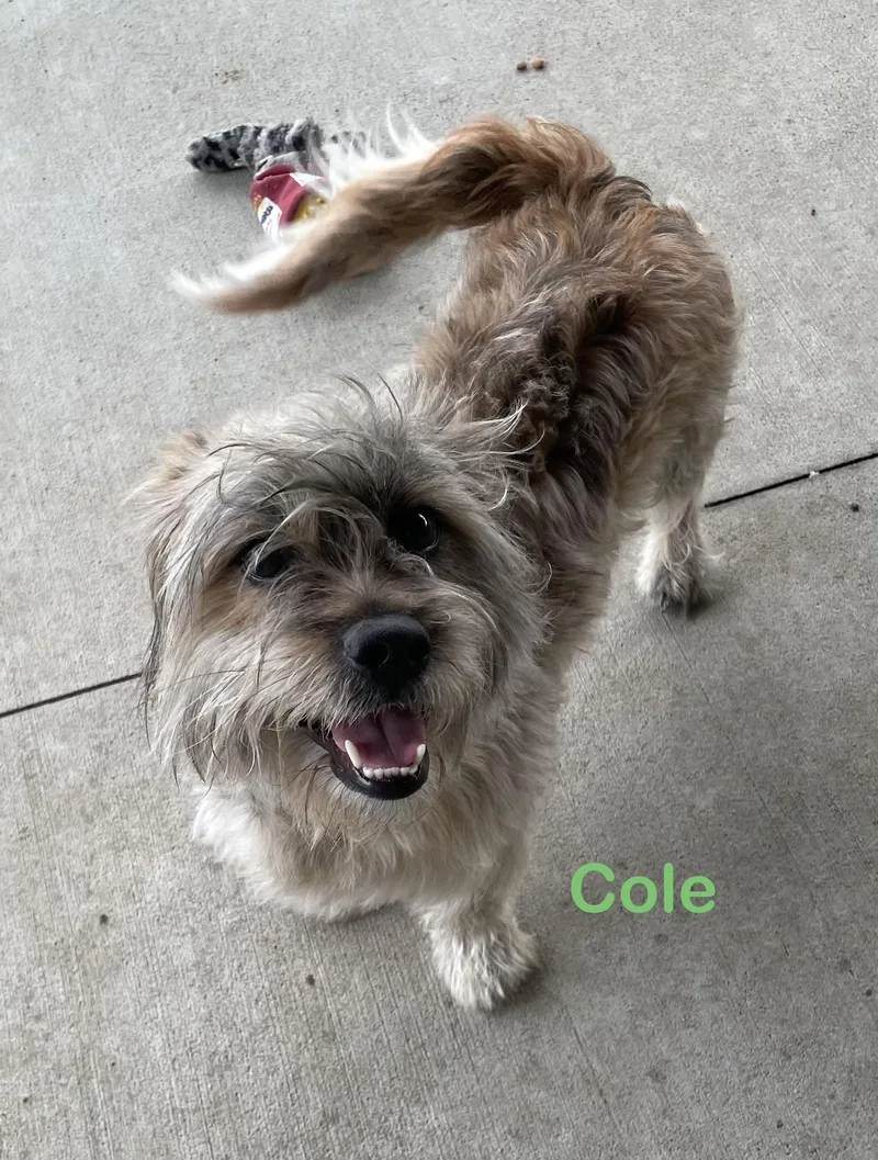 Cole Hold thumbnail 3