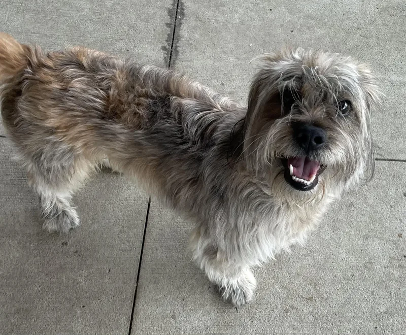 Cole Hold thumbnail 4