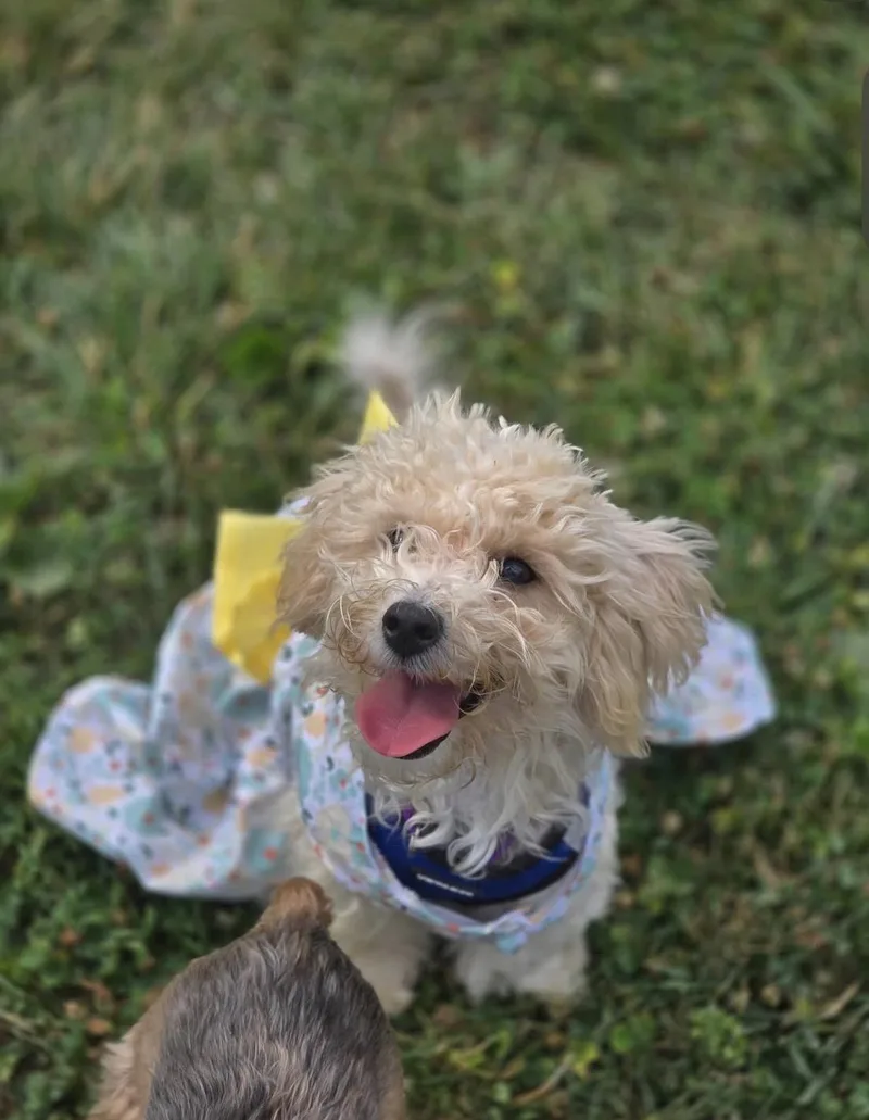 Quinn