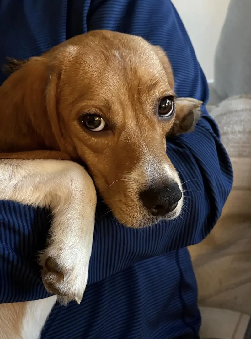 Winnie