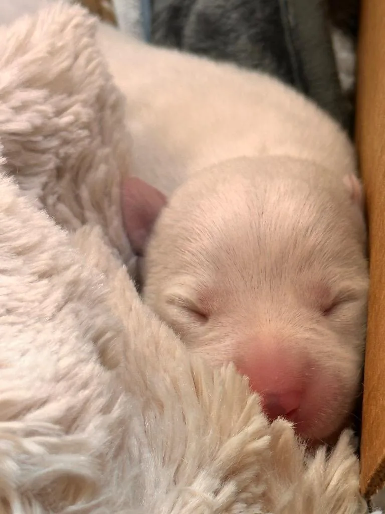 Yuki thumbnail 2