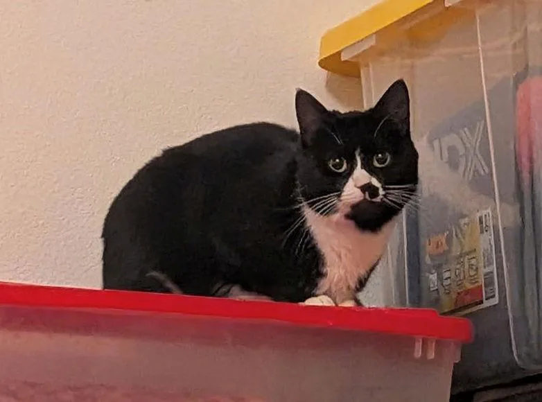 Ladybird   Offered thumbnail 2