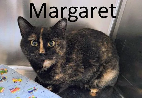 Margaret