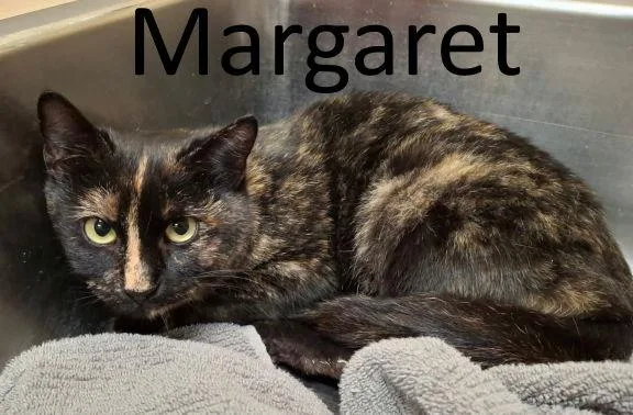Margaret thumbnail 2