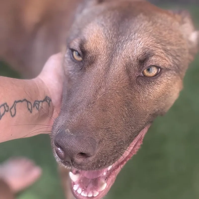 Rune thumbnail 2