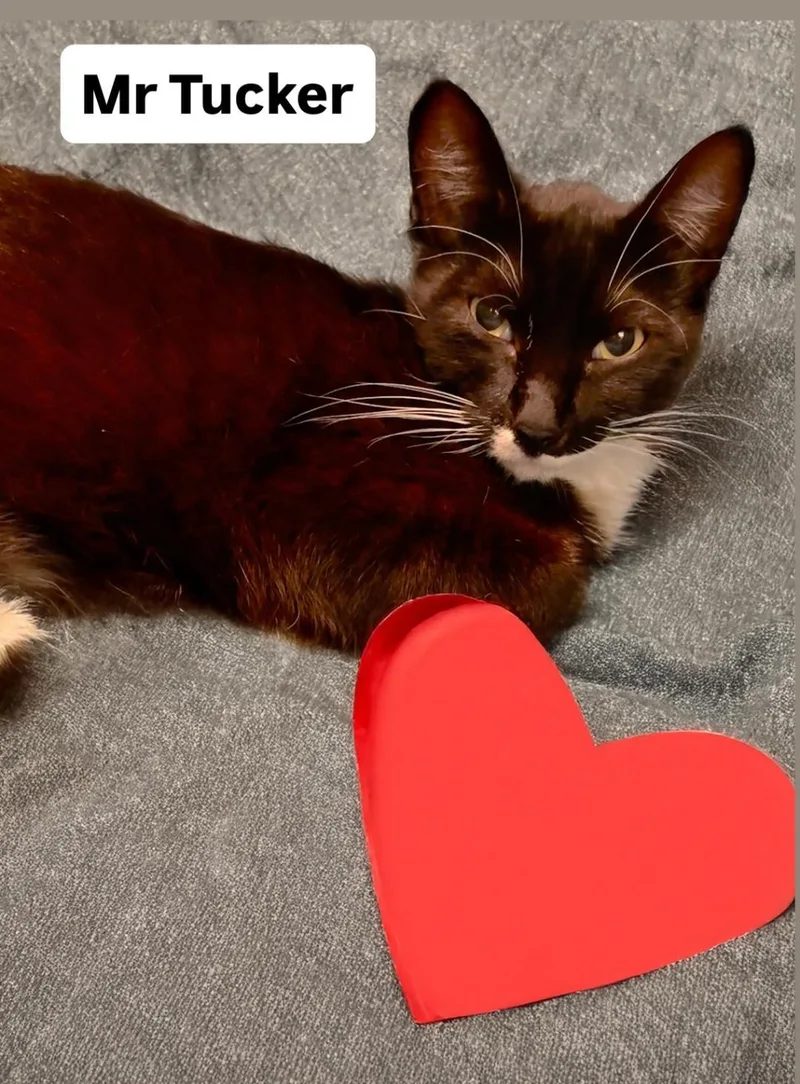 Mr Tucker At Martinez