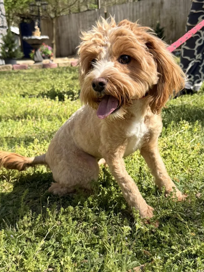 Serenity thumbnail 2