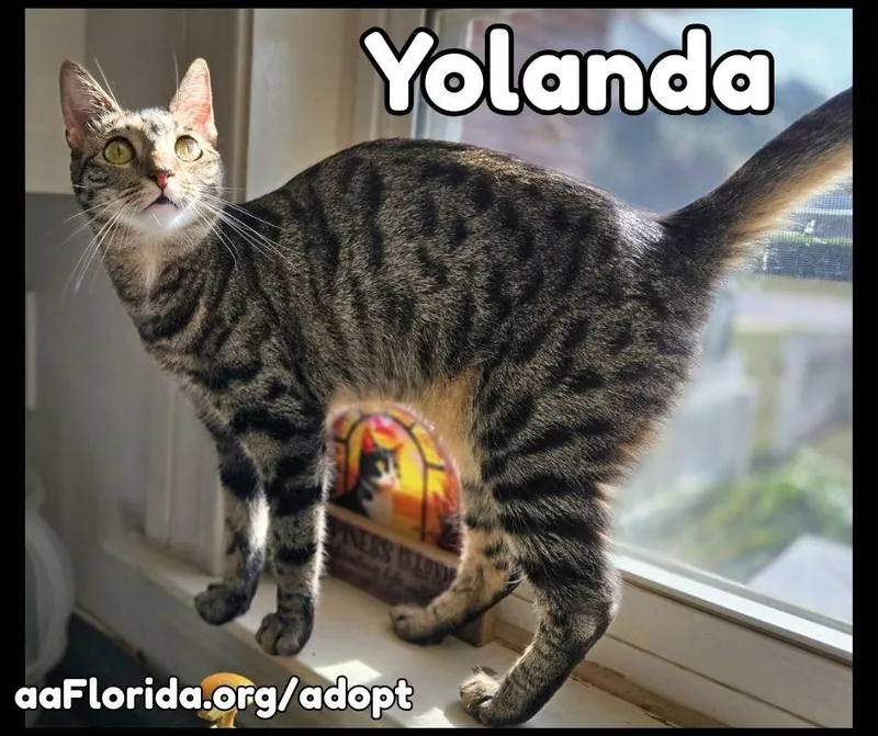 Yolanda  Goddess Of thumbnail 2