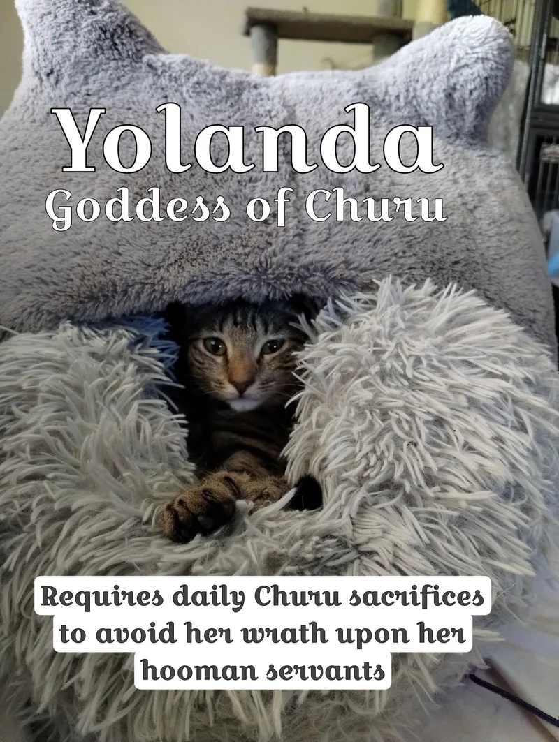 Yolanda  Goddess Of thumbnail 3