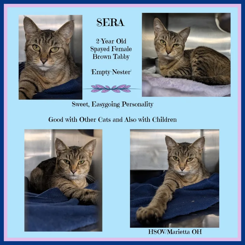 Sera thumbnail 3