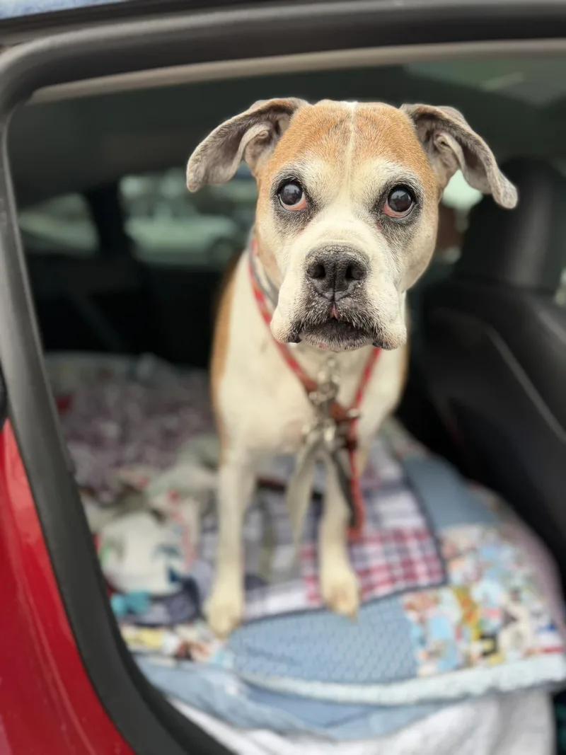 Miss Sammy thumbnail 2