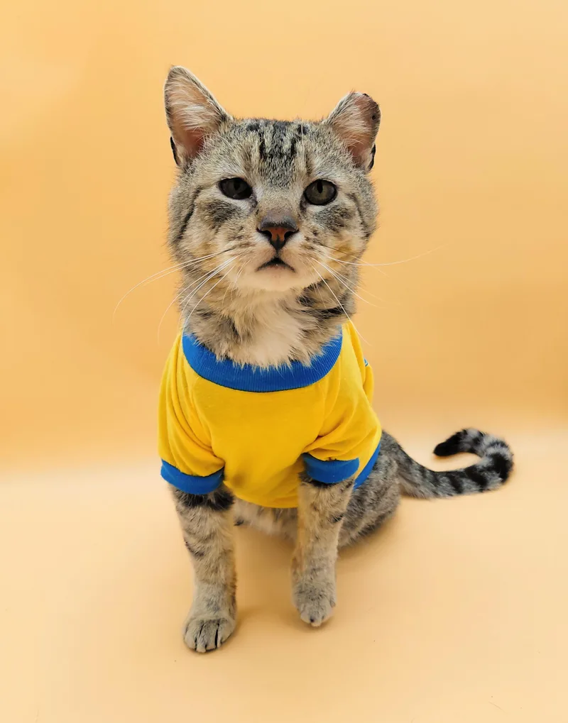 Tom Williams thumbnail 3