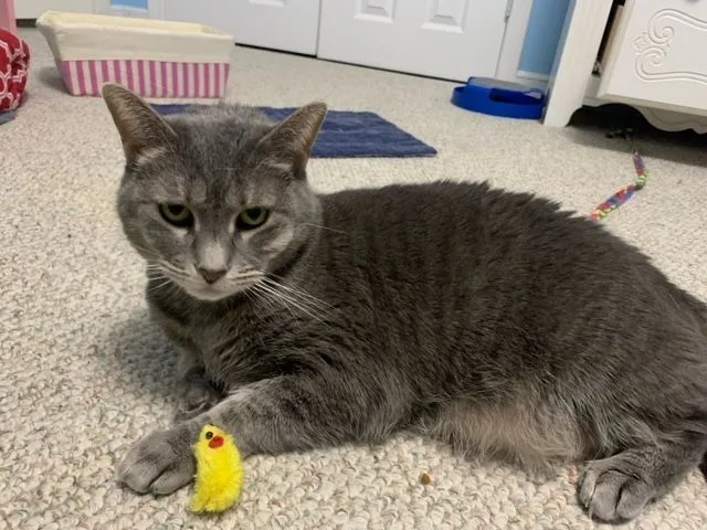 Banner Mom thumbnail 2