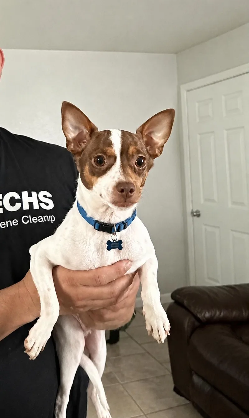 Ralph thumbnail 4