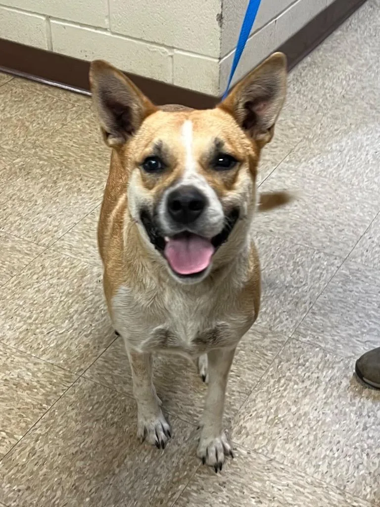 Princess thumbnail 2