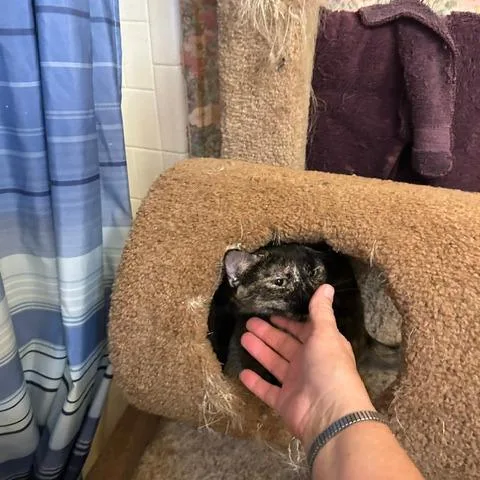 Katie thumbnail 3