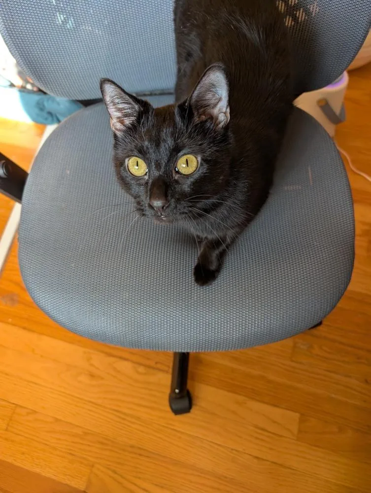 Minimillion thumbnail 2