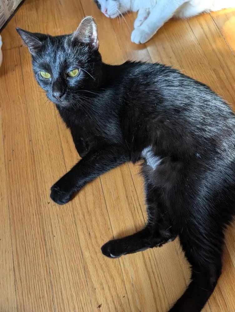 Minimillion thumbnail 3