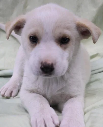 Winnie