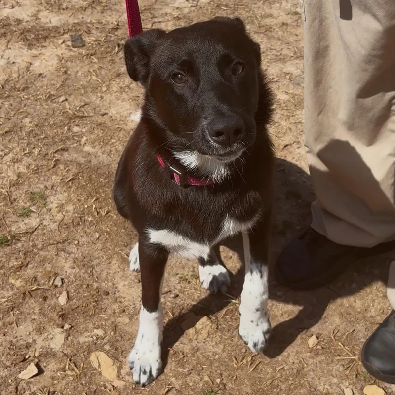 Prudence thumbnail 6