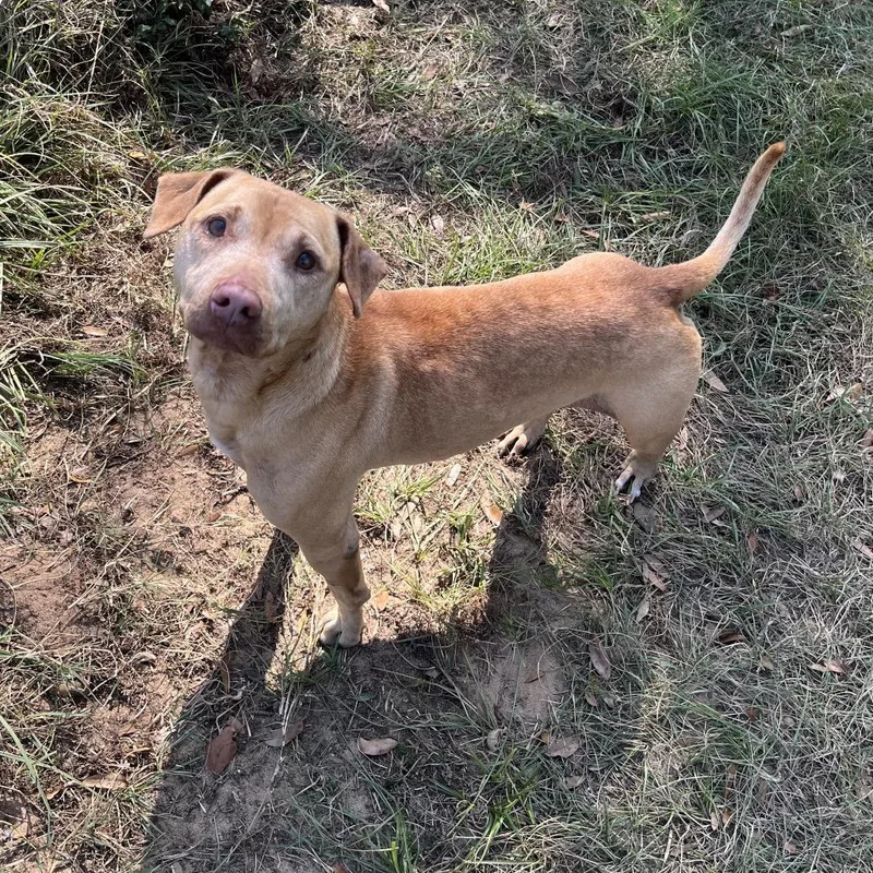 Security thumbnail 2