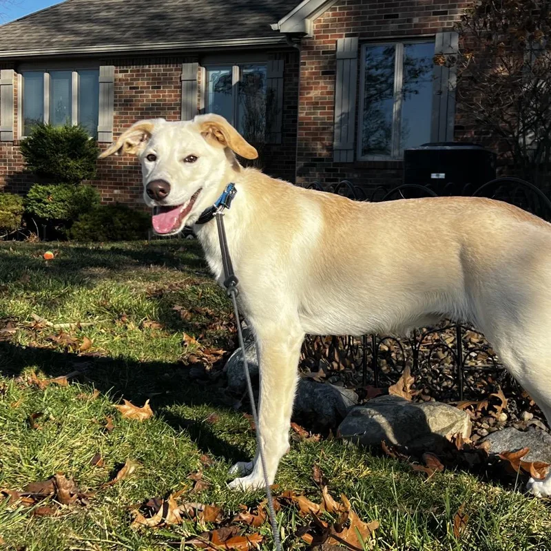 Willow happy Girl thumbnail 2