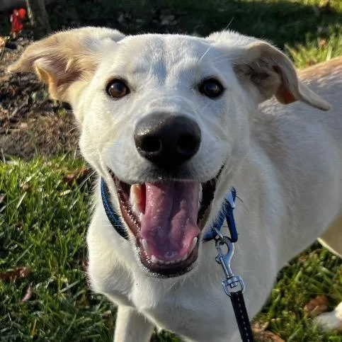 Willow happy Girl thumbnail 3