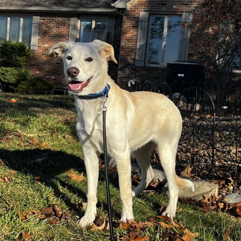 Willow happy Girl thumbnail 4