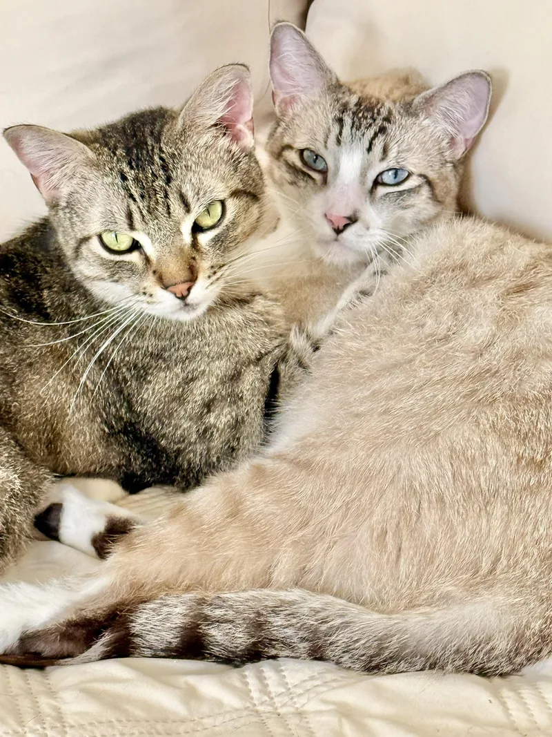 William& Winslow thumbnail 2