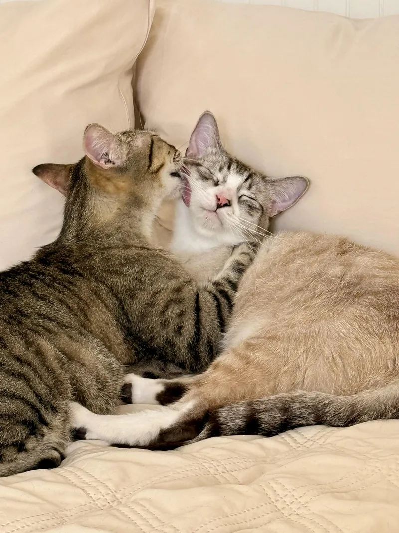 William& Winslow thumbnail 4
