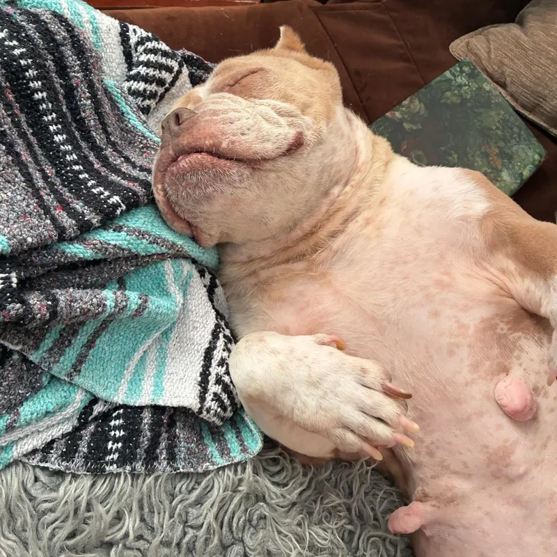 Peaches thumbnail 4