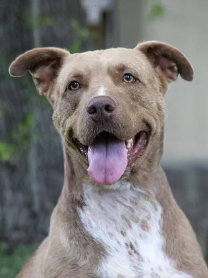 Miss Coco thumbnail 2