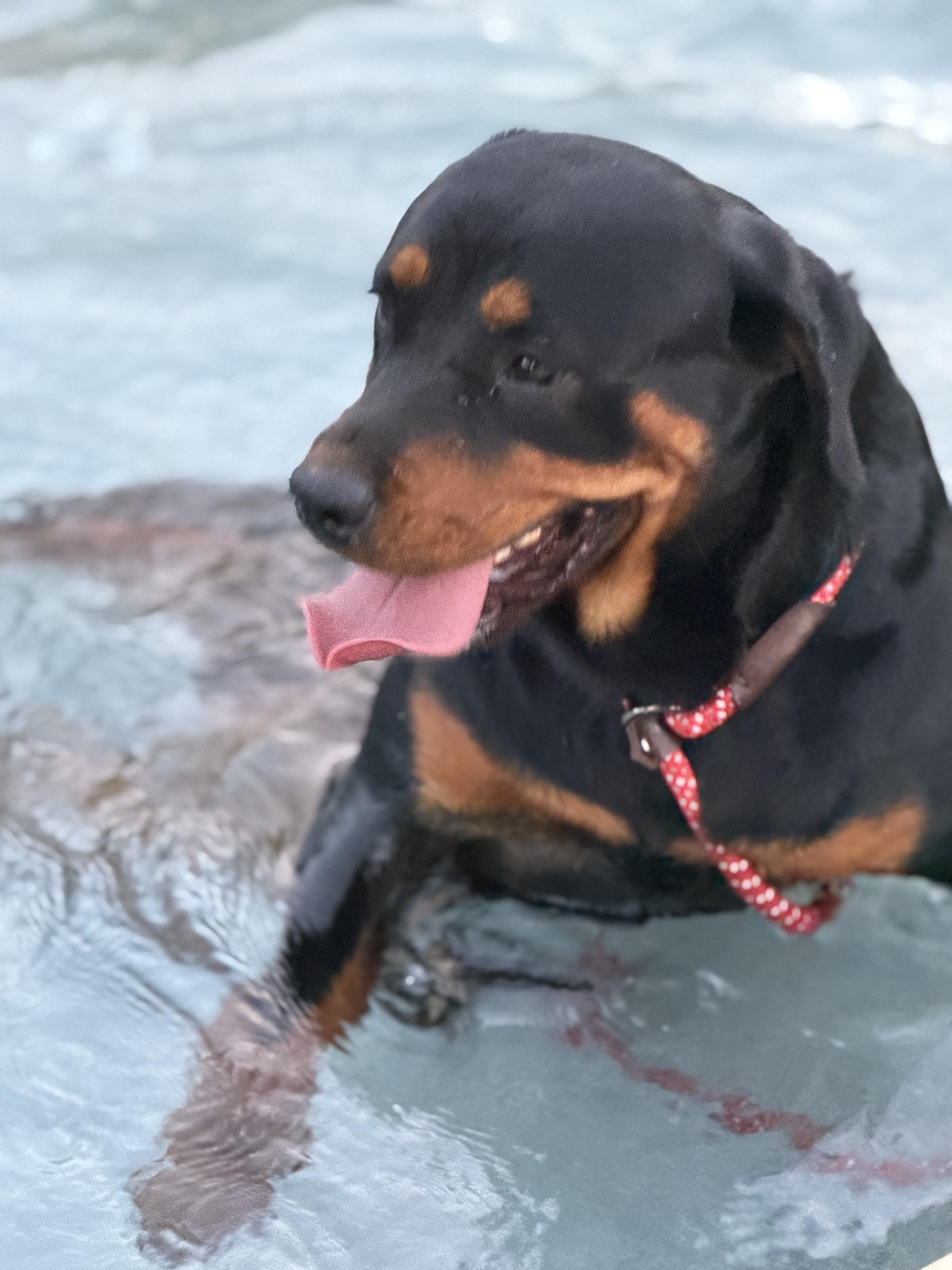 Meeka thumbnail 2